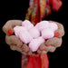 Chill Pills - Rose - The Present Picker