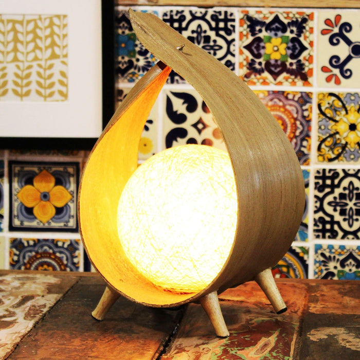 Natural Coconut Lamp - Natural Loop - The Present Picker
