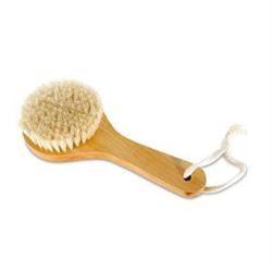 Short Handle Body Scrub Brush - The Present Picker