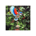 Kingfisher Windchime - The Present Picker
