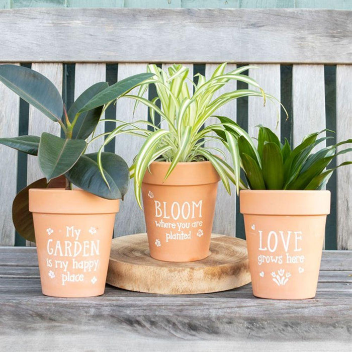 Bloom Where You Are Planted Terracotta Plant Pot - The Present Picker