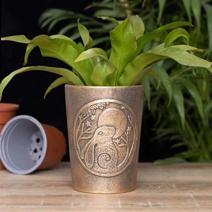 Moon Gazing Hare Bronze Terracotta Plant Pot by Lisa Parker - The Present Picker