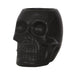 Black Skull Plant Pot - The Present Picker