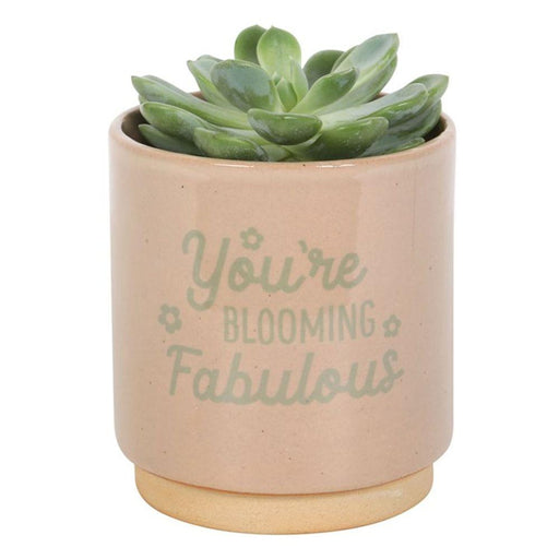 Cream Speckle Blooming Fabulous Plant Pot - The Present Picker