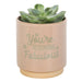Cream Speckle Blooming Fabulous Plant Pot - The Present Picker