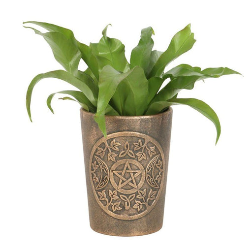Triple Moon Bronze Terracotta Plant Pot by Lisa Parker - The Present Picker