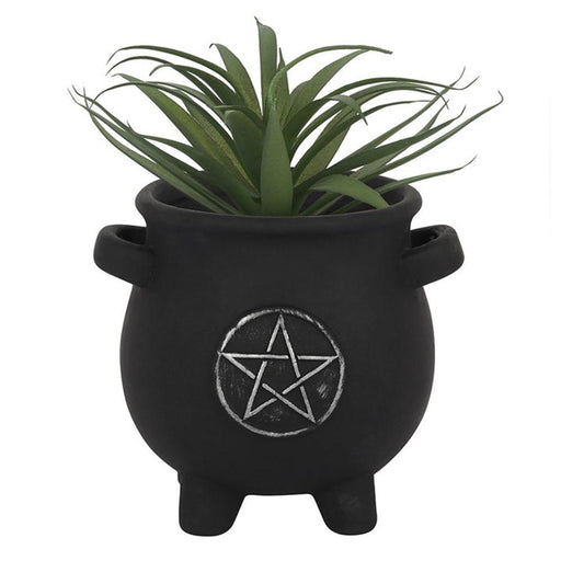 Pentagram Cauldron Plant Pot - The Present Picker