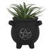 Pentagram Cauldron Plant Pot - The Present Picker