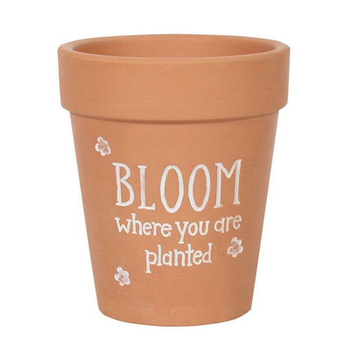 Bloom Where You Are Planted Terracotta Plant Pot - The Present Picker