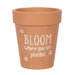 Bloom Where You Are Planted Terracotta Plant Pot - The Present Picker