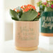 Cream Speckle Blooming Fabulous Plant Pot - The Present Picker