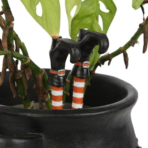 Set of 2 Witch Leg Plant Pot Ornaments - The Present Picker