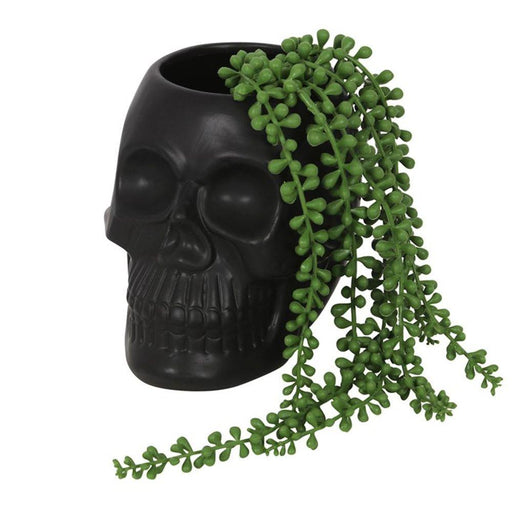Black Skull Plant Pot - The Present Picker