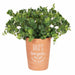 Dad's Garden Terracotta Plant Pot - The Present Picker