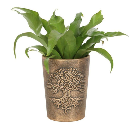 Tree of Life Bronze Terracotta Plant Pot by Lisa Parker - The Present Picker