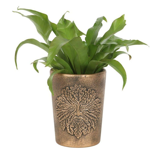 Green Man Bronze Terracotta Plant Pot by Lisa Parker - The Present Picker