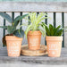 My Garden Is My Happy Place Terracotta Plant Pot - The Present Picker