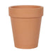 Bloom Where You Are Planted Terracotta Plant Pot - The Present Picker