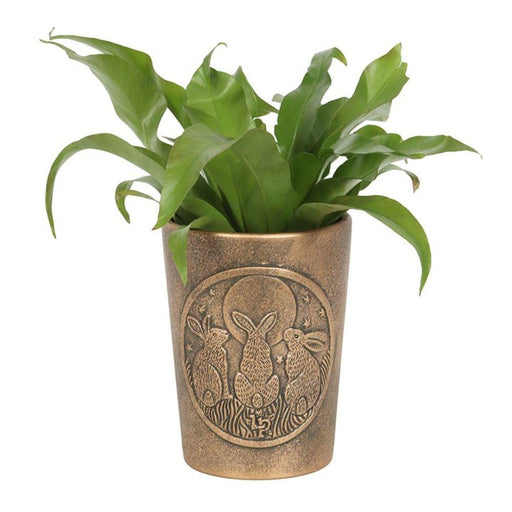Moon Shadows Bronze Terracotta Plant Pot by Lisa Parker - The Present Picker