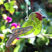 Goldfinch Bird Suncatcher - The Present Picker